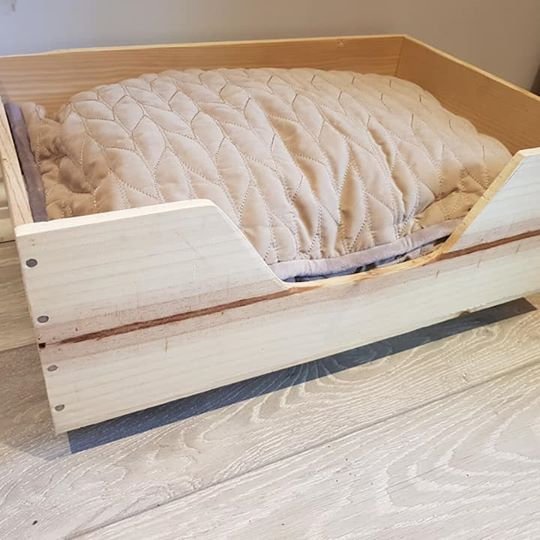 dog bed box