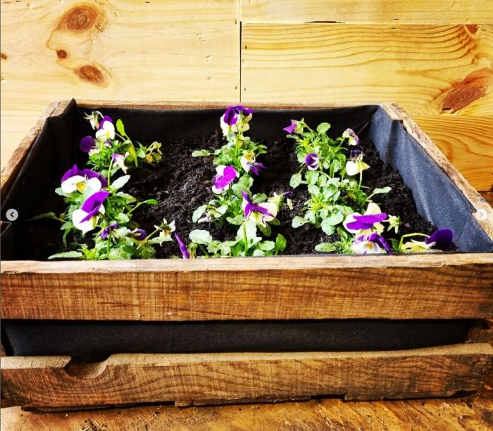 Small Vintage Crate Planter - Image 3