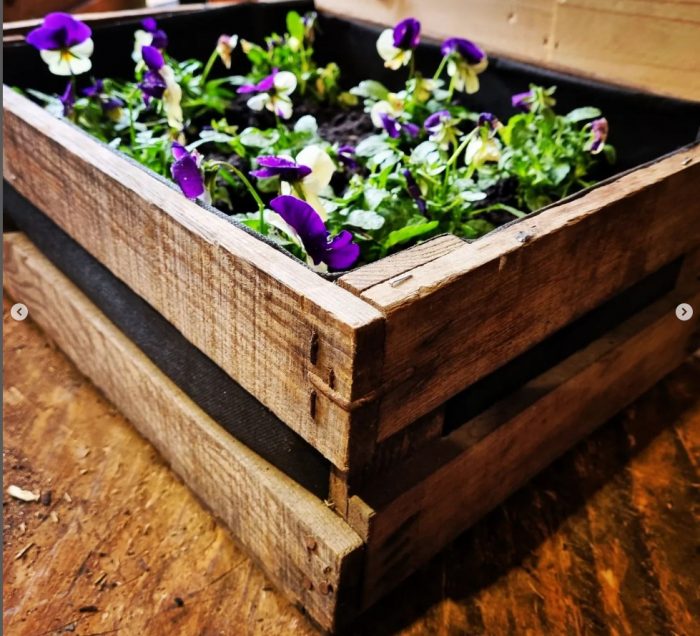 Small Vintage Crate Planter - Image 4