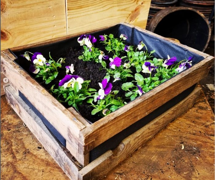 Small Vintage Crate Planter
