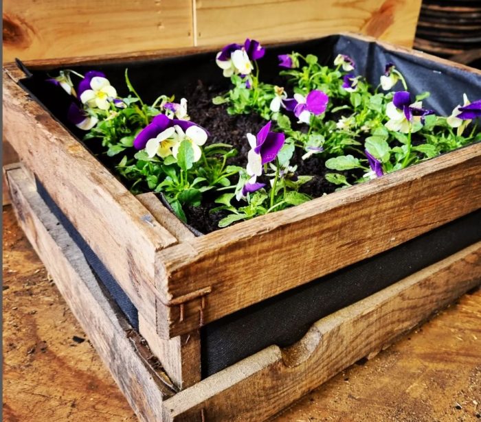 Small Vintage Crate Planter - Image 6
