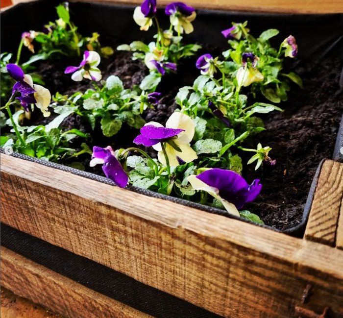 Small Vintage Crate Planter - Image 7